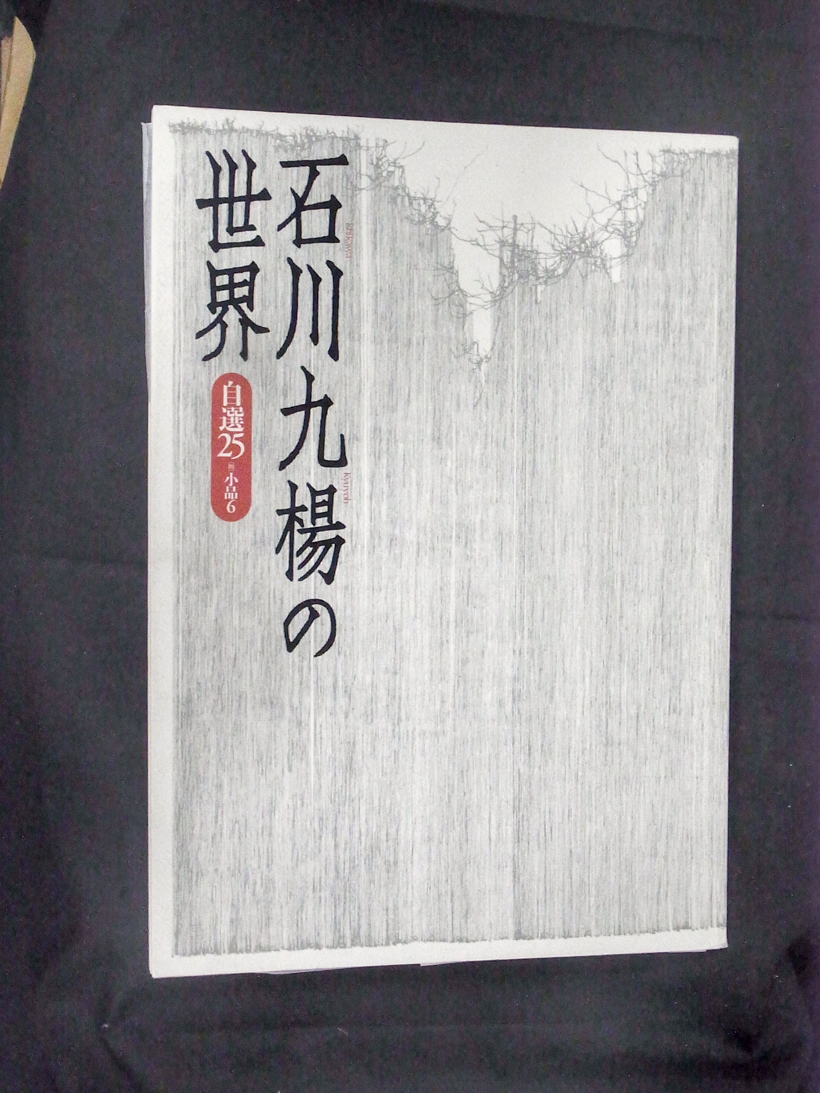 石川九楊の世界 自選25 2019/04/03 | 悠久堂書店